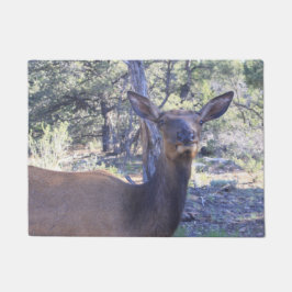 Felpudo Moose Doormat