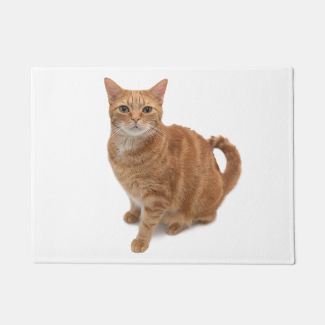 Felpudo Naranja Cat Standing (Anverso)