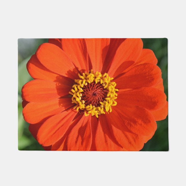 Felpudo Naranja zinnia (Anverso)