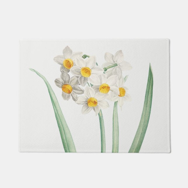 Felpudo Narciso, Pierre-Joseph Redouté, 1805 (Anverso)