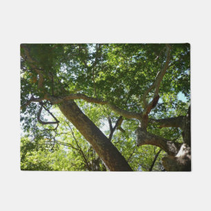 Felpudo Naturaleza verde del árbol de Sycamore