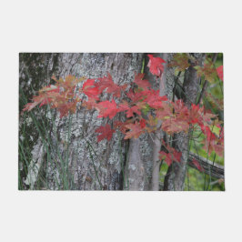 Felpudo Naturas Bounty