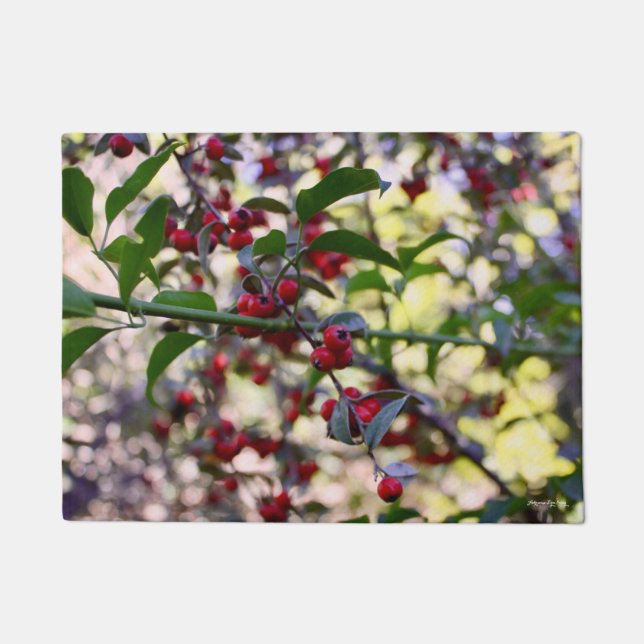 Felpudo Navidades/estera de puertas de invierno (Anverso)