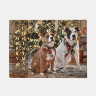 Felpudo Navidades inteligentes rescatan a Pitbull y al Bul