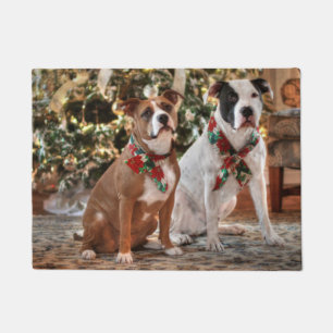 Felpudo Navidades inteligentes rescatan a Pitbull y al Bul