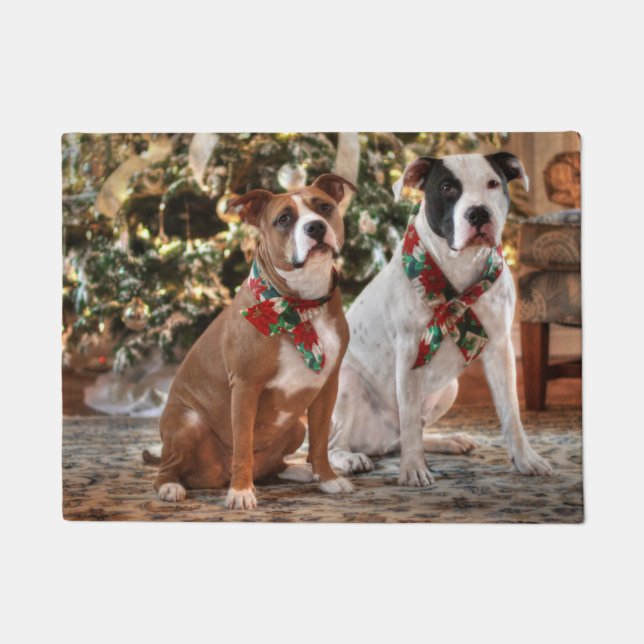 Felpudo Navidades inteligentes rescatan a Pitbull y al Bul (Anverso)