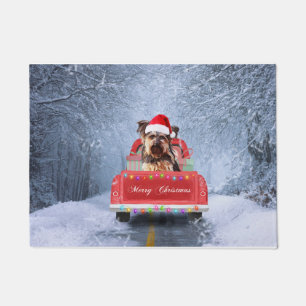 Felpudo Nieve de perro de Yorkshire, sentada en Navidades