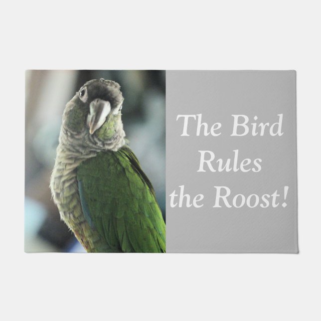 Felpudo No más hedgehog burlón (Anverso)