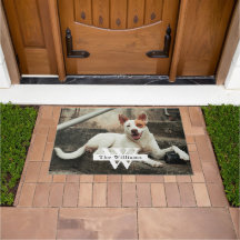 Nombre de familia de foto de perro personalizada