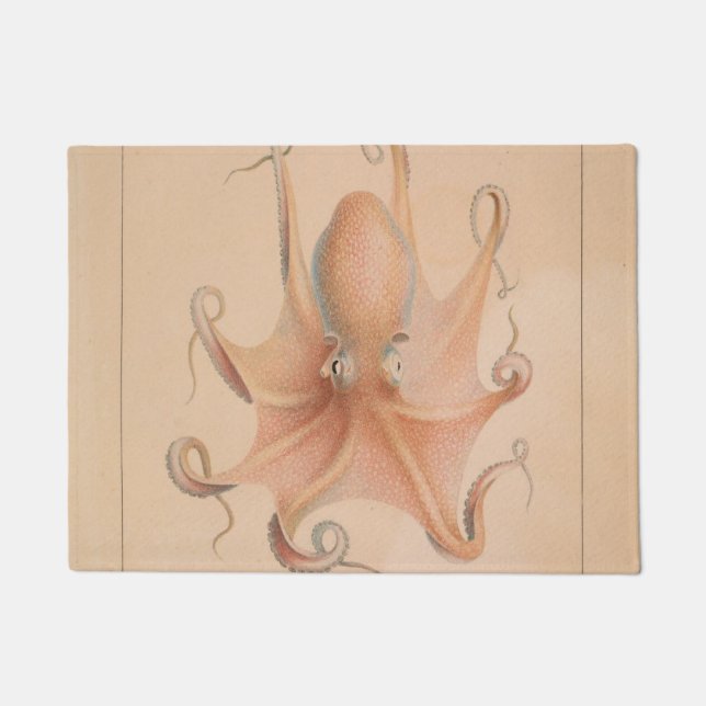 Felpudo Octopus vintage 1851 Eledon Aldrovandi (Anverso)