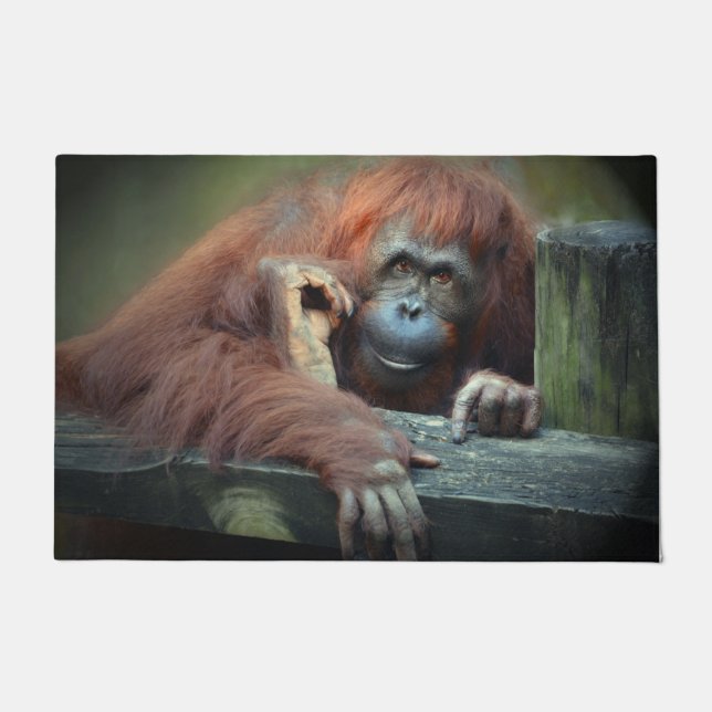 Felpudo Orangutan (Anverso)