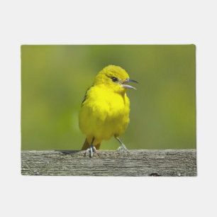 Felpudo Orchard Oriole - Foto original