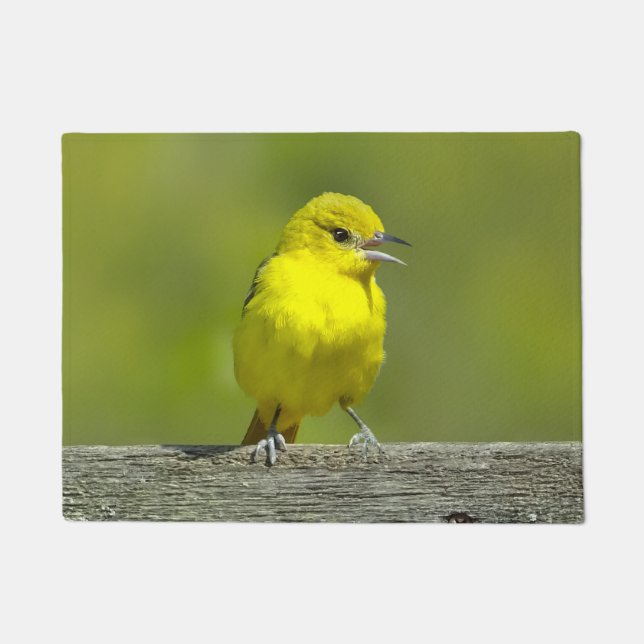 Felpudo Orchard Oriole - Foto original (Anverso)