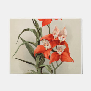 Felpudo Orquídeas florecientes Ilustracion antiguo de cos