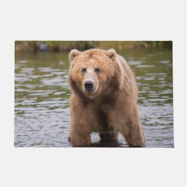 Felpudo Oso grandioso de kodiak (Anverso)