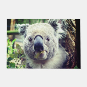 Felpudo Oso Koala
