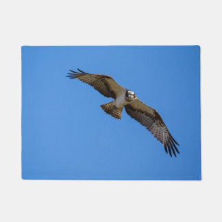 Felpudo Osprey del vuelo con una blanco en vista