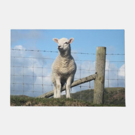 FELPUDO OVEJAS CUIDADAS