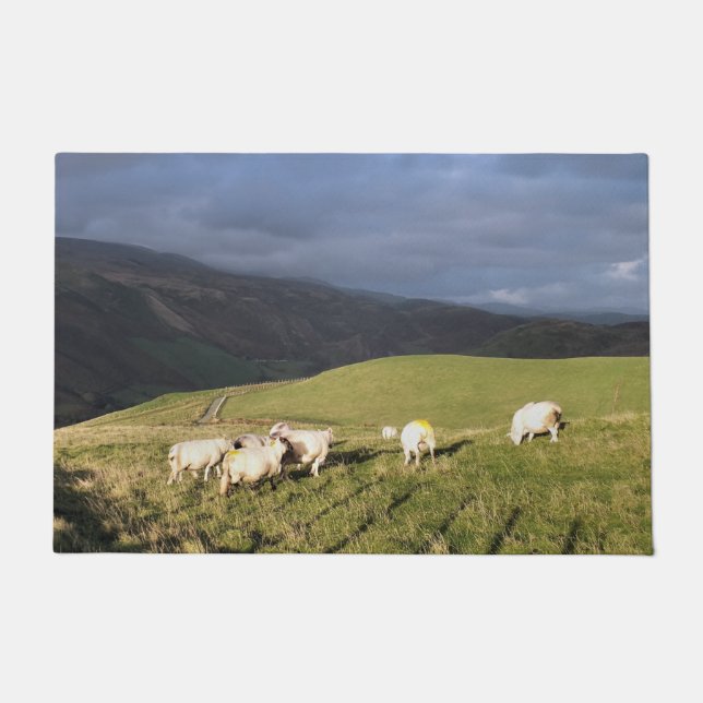 FELPUDO OVEJAS DE MONTAÑA (Anverso)