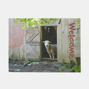 Felpudo Ovejas del país
