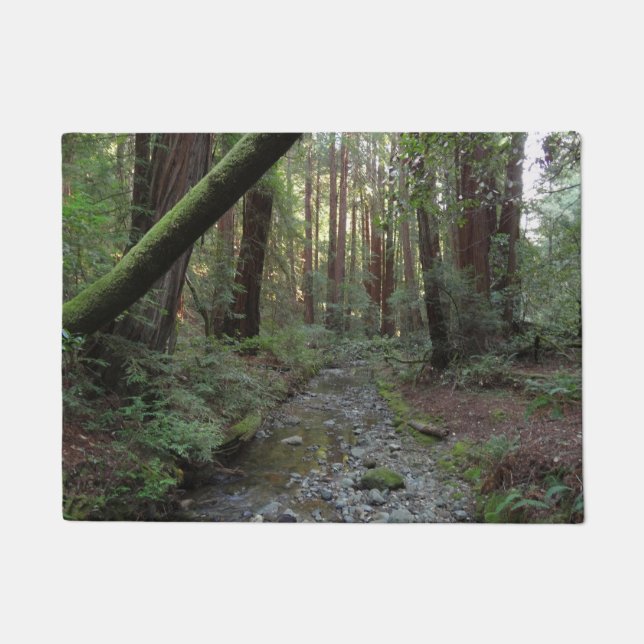 Felpudo Paisaje forestal de Muir Woods Stream (Anverso)