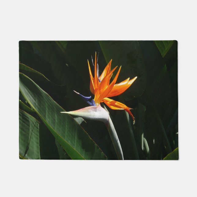 Felpudo Pájaro del Naranja del paraíso Flor tropical (Anverso)