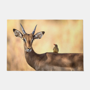 Felpudo Pájaro Impala y Oxpecker en África