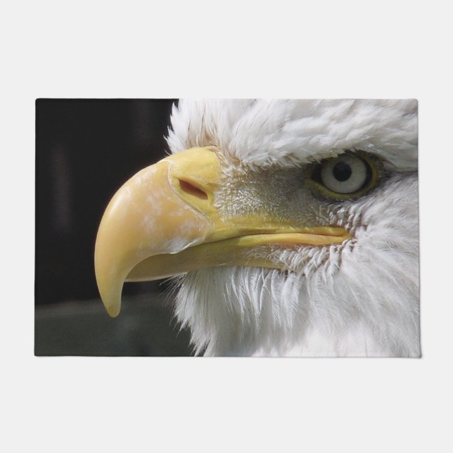 FELPUDO PÁJAROS DE EAGLE (Anverso)