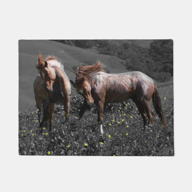 Felpudo Palo del semental (Anverso)