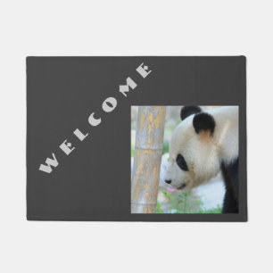 Felpudo Panda20170502_by_JAMFoto
