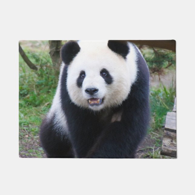 Felpudo Panda_20190301_by_JAMFoto (Anverso)
