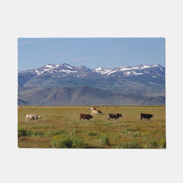 Felpudo Panorama HWY 395 de California (Anverso)