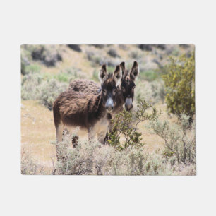 Felpudo Pareja salvaje de Burro en Nevada Central