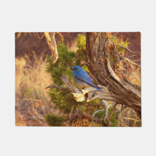 Felpudo Parque nacional de Arches