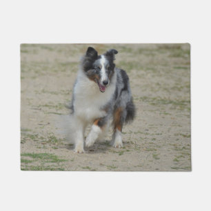 Felpudo Pastor azul del australiano de Merle