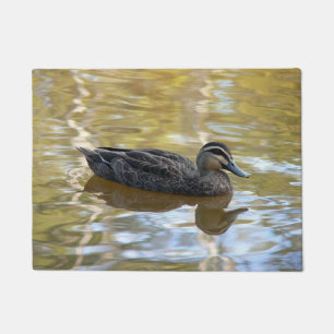 Felpudo Pato Negro del Pacífico nadando en agua dorada