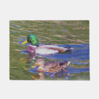 Patos del pato silvestre