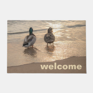 Felpudo Patos del pato silvestre en la playa