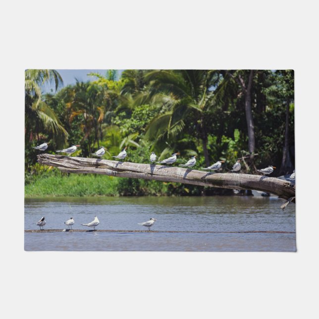 Felpudo Patrones reales, estuario del río Tortuguero - Cos (Anverso)
