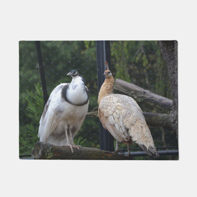 Felpudo Peacocks de bonito (Anverso)