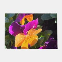 Pensamiento Naranja y Morado