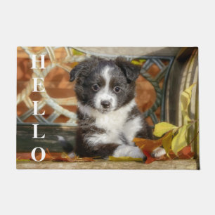 Felpudo Pequeño Pastel Aussiano de Pastor Bi-Color