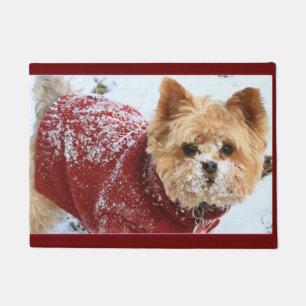 Felpudo Pequeño yorkie en la nieve