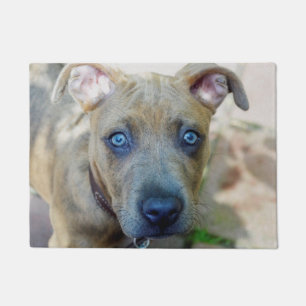 Felpudo Perrito Brindle del pitbull de Shirley Taylor