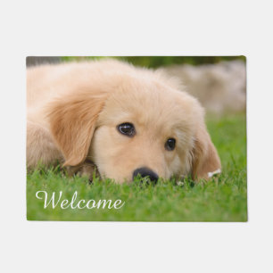 Felpudo Perrito del golden retriever que soña la recepci