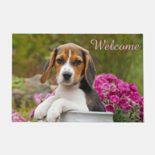 Felpudo Perrito lindo del perro del beagle en la recepció