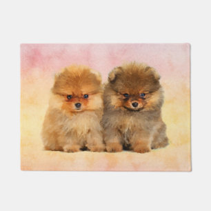 Felpudo Perritos alemanes lindos del perro de Pomerania de