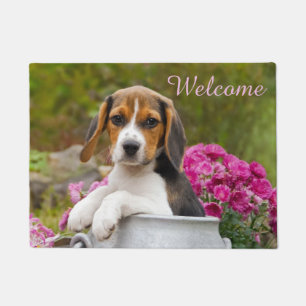 Felpudo Perro beagle curtido cachorro de leche - Bienvenid