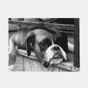 Felpudo Perro Boxer en el arco de Windowsill dm1