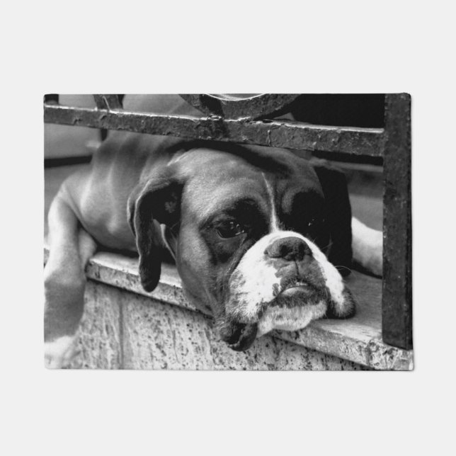 Felpudo Perro Boxer en el arco de Windowsill dm1 (Anverso)